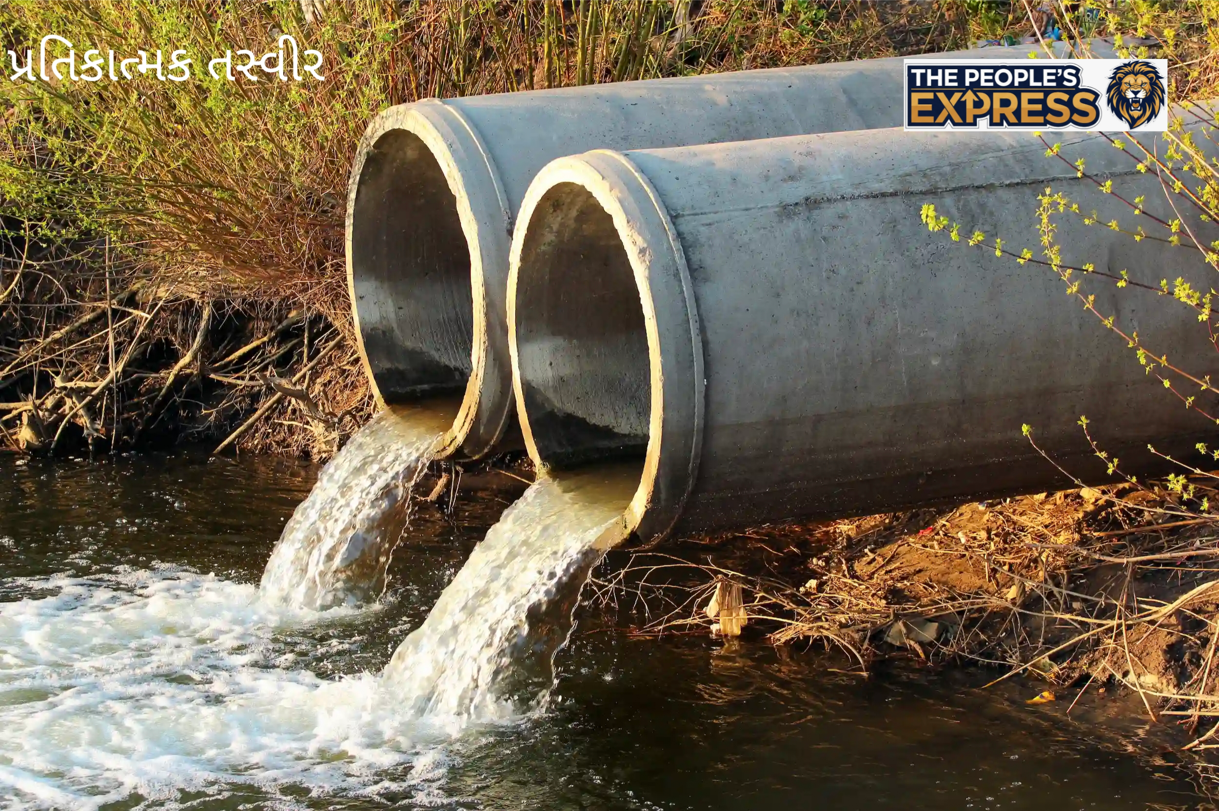 Picsart_25-09-19_17-28-39-786