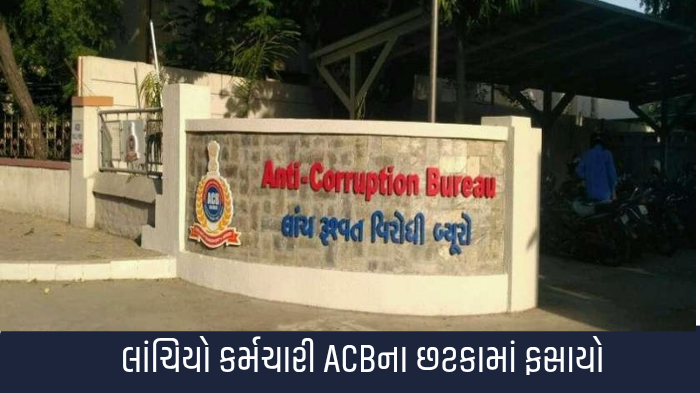 The People’s Express The People’s Express The People’s Express_20250918_205408_0000