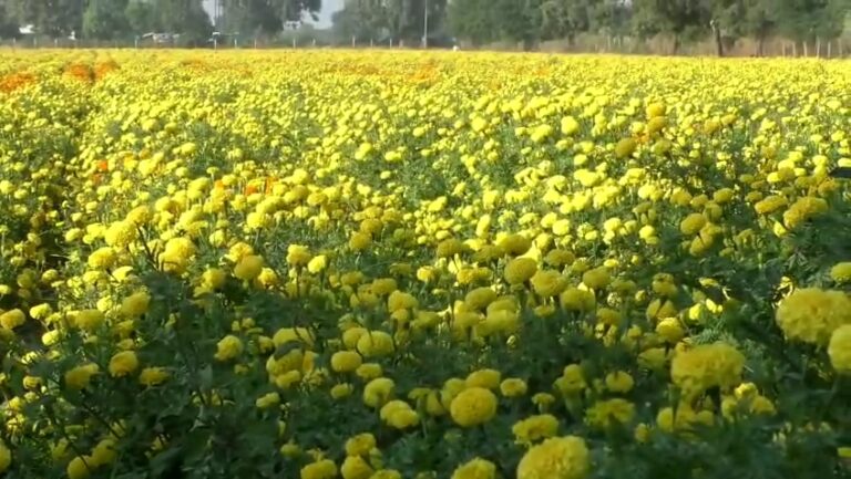 Videoshot_20250929_131233