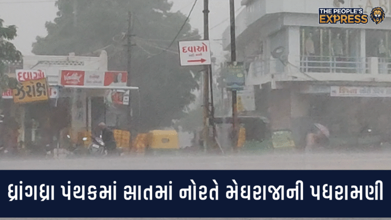 image - 02_20250928_185526_0000