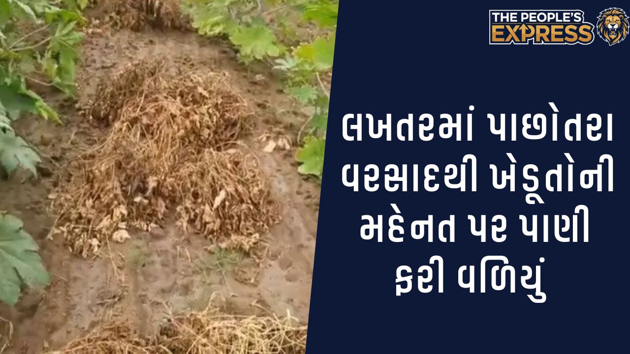 unseasonal-rain-damage-crop-in-lakhtar-taluka