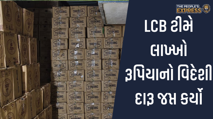 ગ્રામ્ય વિસ્તારોના રોડ પર બાવળોની ઝાડીથી રાહદારીઓ પરેશાન_20250918_172521_0000