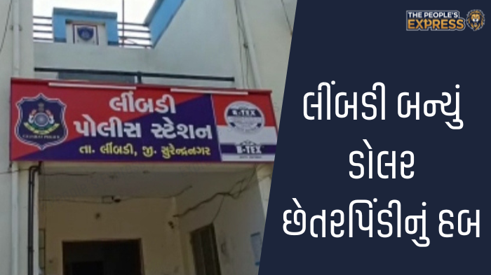 ગ્રામ્ય વિસ્તારોના રોડ પર બાવળોની ઝાડીથી રાહદારીઓ પરેશાન_20250919_153757_0000