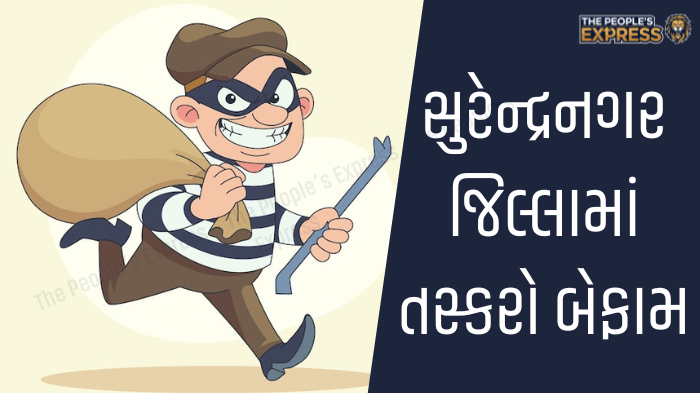 ગ્રામ્ય વિસ્તારોના રોડ પર બાવળોની ઝાડીથી રાહદારીઓ પરેશાન_20250919_171938_0000