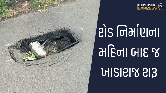 ગ્રામ્ય વિસ્તારોના રોડ પર બાવળોની ઝાડીથી રાહદારીઓ પરેશાન_20250920_173218_0000