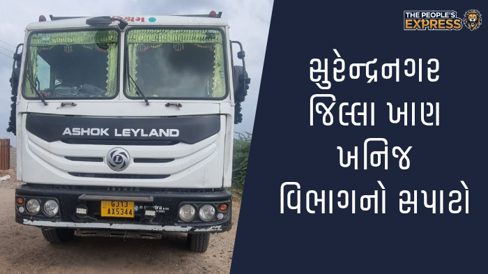 ગ્રામ્ય વિસ્તારોના રોડ પર બાવળોની ઝાડીથી રાહદારીઓ પરેશાન_20250921_123845_0000