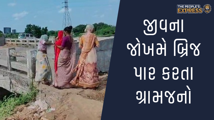 ગ્રામ્ય વિસ્તારોના રોડ પર બાવળોની ઝાડીથી રાહદારીઓ પરેશાન_20250921_130635_0000