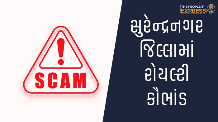 ગ્રામ્ય વિસ્તારોના રોડ પર બાવળોની ઝાડીથી રાહદારીઓ પરેશાન_20250921_135609_0000