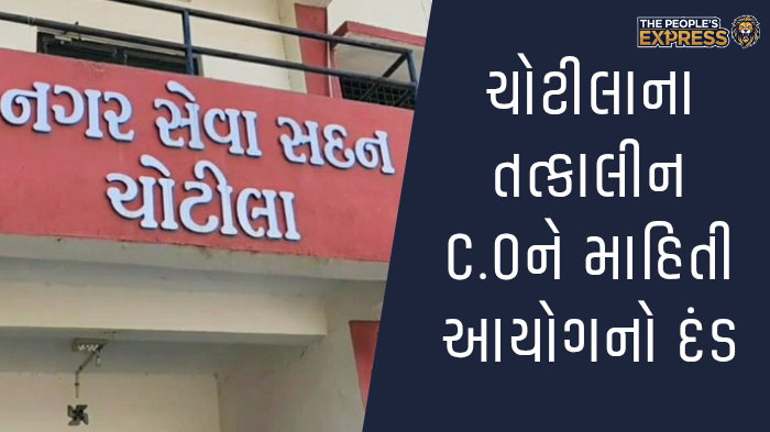 ગ્રામ્ય વિસ્તારોના રોડ પર બાવળોની ઝાડીથી રાહદારીઓ પરેશાન_20250921_151440_0000