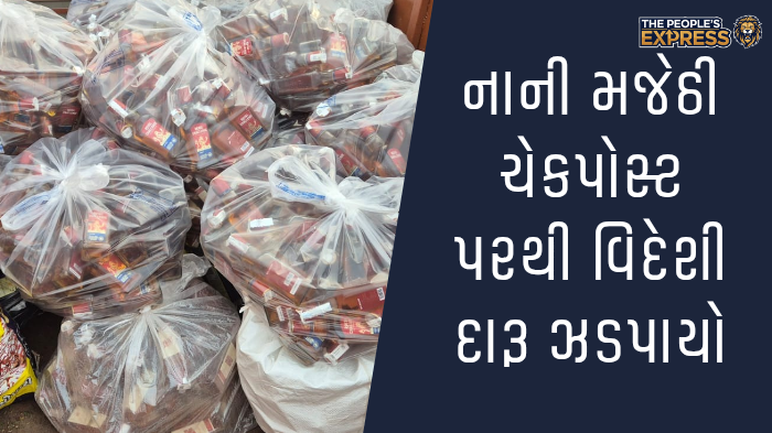 ગ્રામ્ય વિસ્તારોના રોડ પર બાવળોની ઝાડીથી રાહદારીઓ પરેશાન_20250921_151613_0000