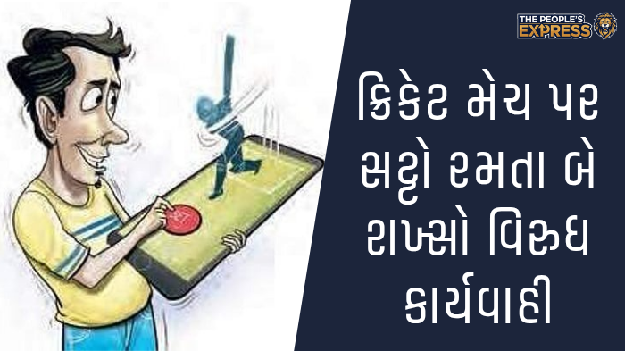 ગ્રામ્ય વિસ્તારોના રોડ પર બાવળોની ઝાડીથી રાહદારીઓ પરેશાન_20250922_142413_0000