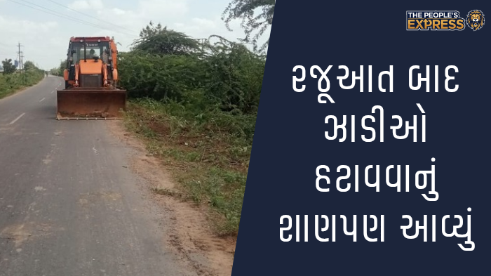 ગ્રામ્ય વિસ્તારોના રોડ પર બાવળોની ઝાડીથી રાહદારીઓ પરેશાન_20250922_150419_0000