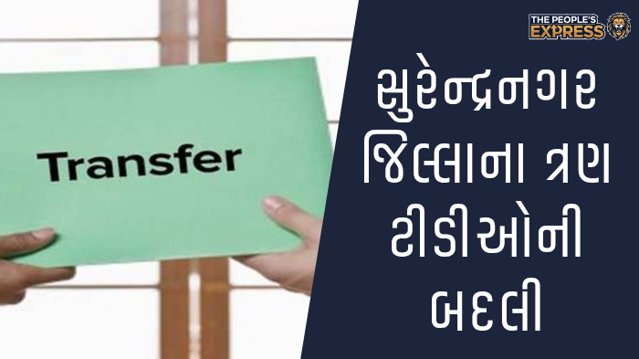 ગ્રામ્ય વિસ્તારોના રોડ પર બાવળોની ઝાડીથી રાહદારીઓ પરેશાન_20250922_211611_0000