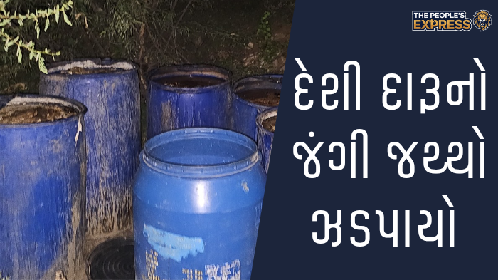 ગ્રામ્ય વિસ્તારોના રોડ પર બાવળોની ઝાડીથી રાહદારીઓ પરેશાન_20250923_080118_0000