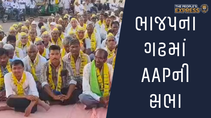 ગ્રામ્ય વિસ્તારોના રોડ પર બાવળોની ઝાડીથી રાહદારીઓ પરેશાન_20250923_133243_0000
