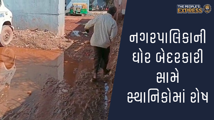 ગ્રામ્ય વિસ્તારોના રોડ પર બાવળોની ઝાડીથી રાહદારીઓ પરેશાન_20250923_154515_0000