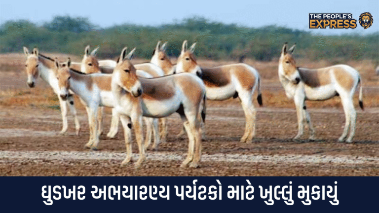 Ghudkhar Sanctuary opened for tourists