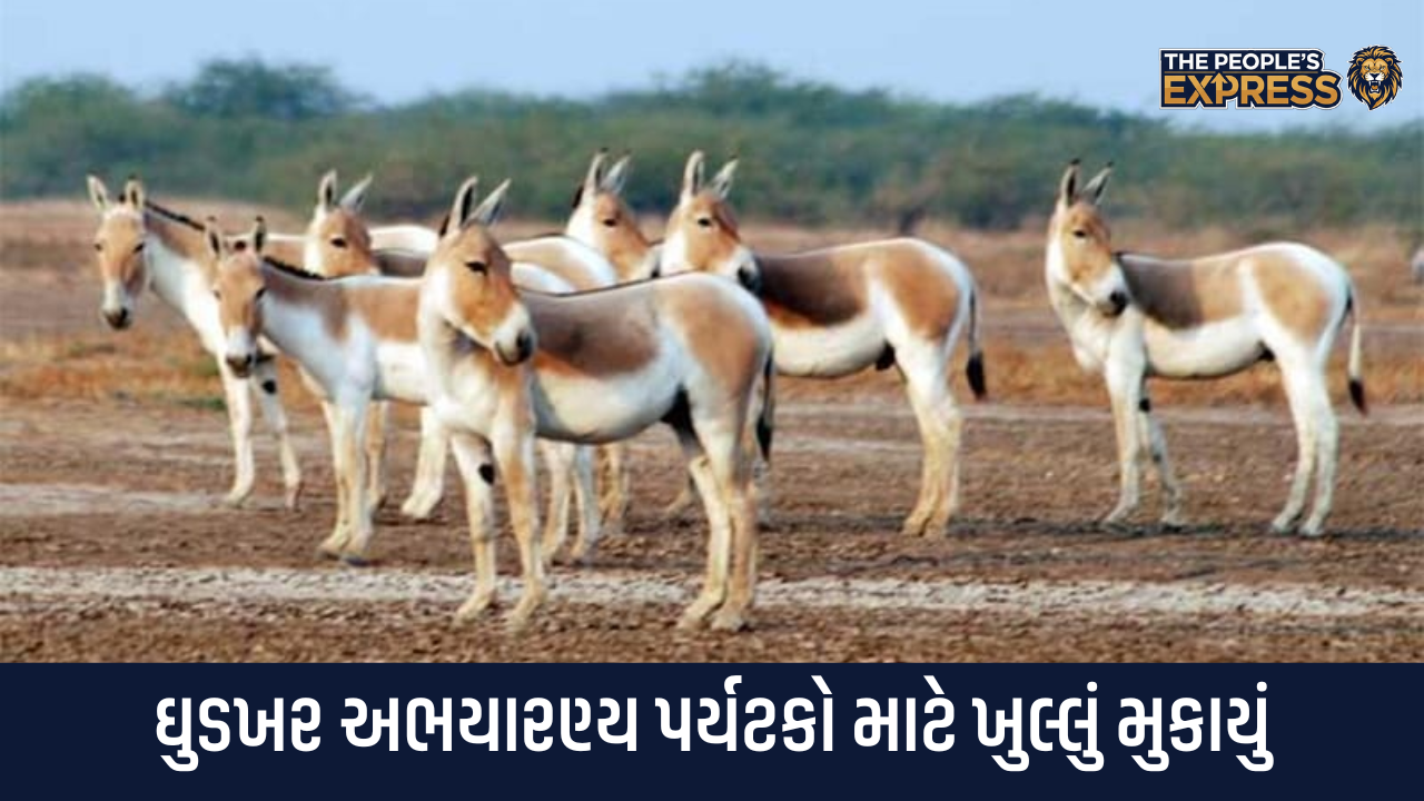 Ghudkhar Sanctuary opened for tourists