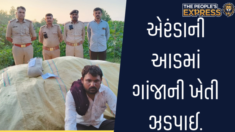 Image - 01_20251005_210910_0000