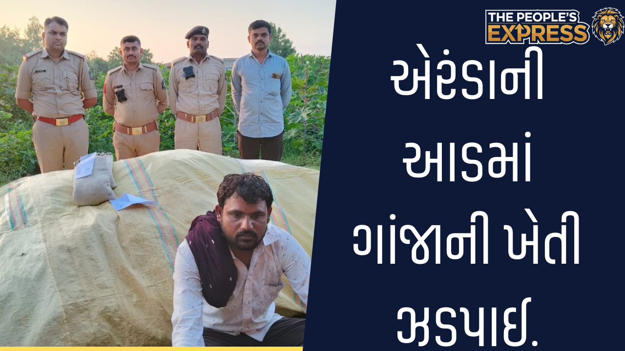 Image - 01_20251005_210910_0000