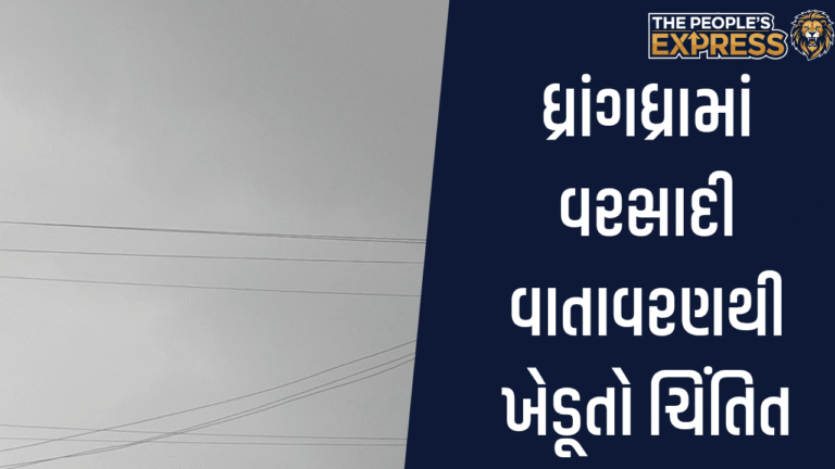 Image - 01_20251006_173301_0000