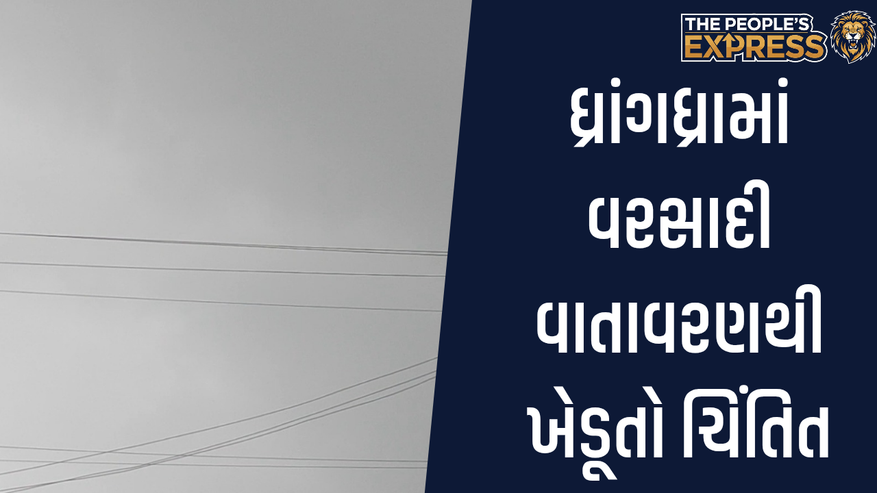 Image - 01_20251006_173301_0000