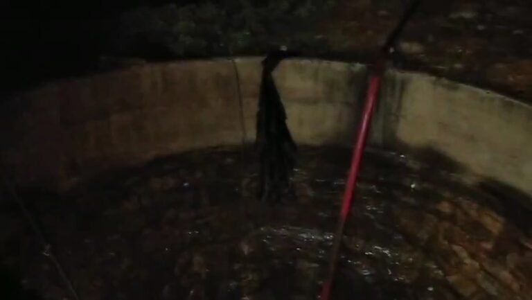 Videoshot_20251009_082830