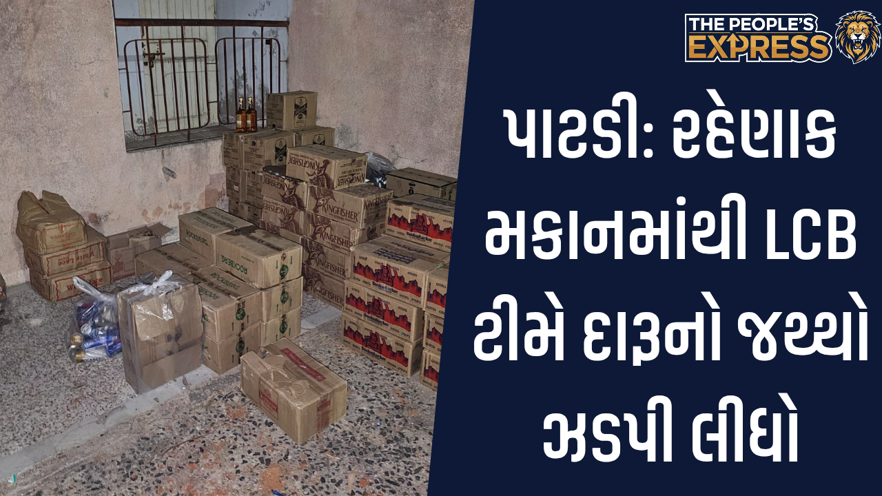 Image - 01_20251127_180449_0000