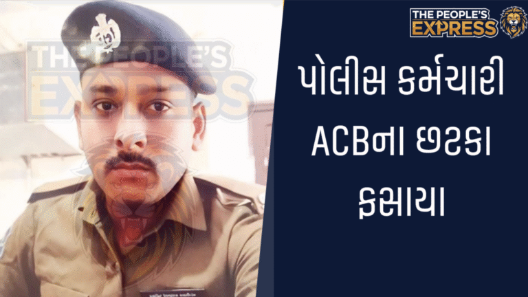 Picsart_25-11-29_12-58-15-214